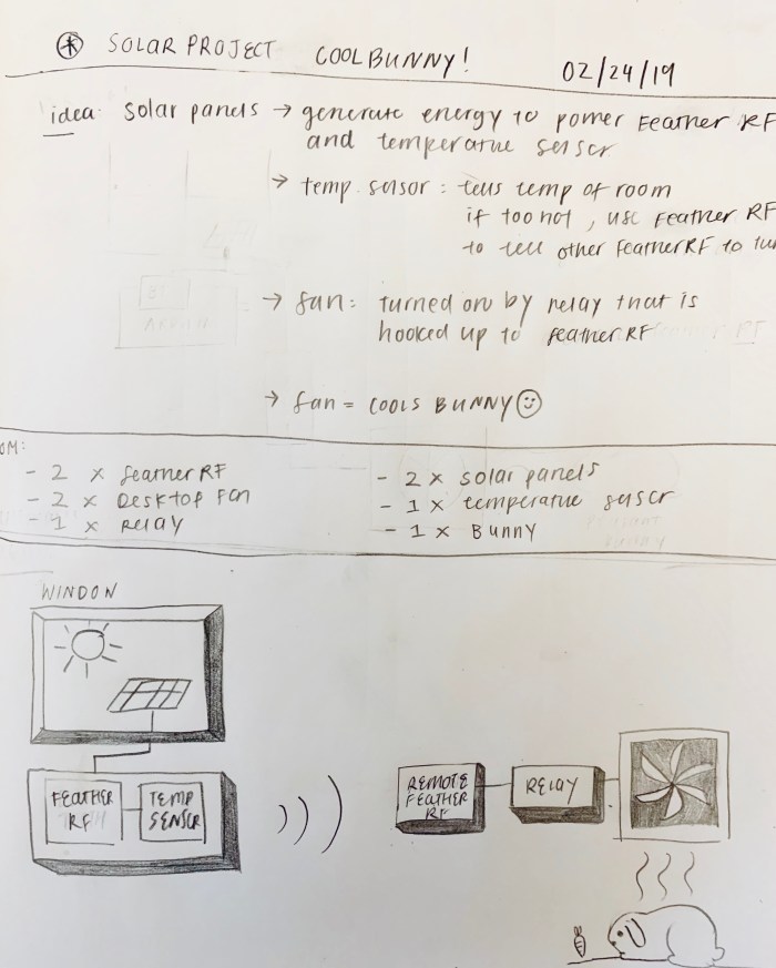 project plan for cool bunny